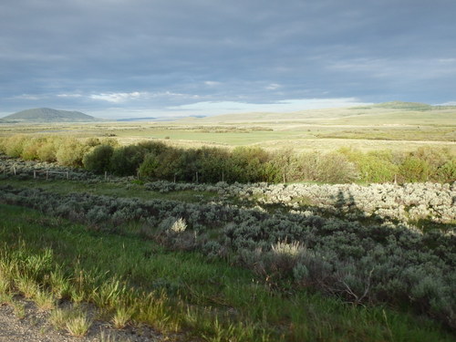 GDMBR: Look carefully, our tandem shadow is in the sage brush.